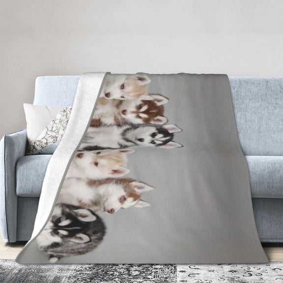 Wijzvio Husky Puppies Dogs Throw Blanket Soft Fuzzy Fleece Blanket For Couch Bed Living Room Decoration 40"X30"