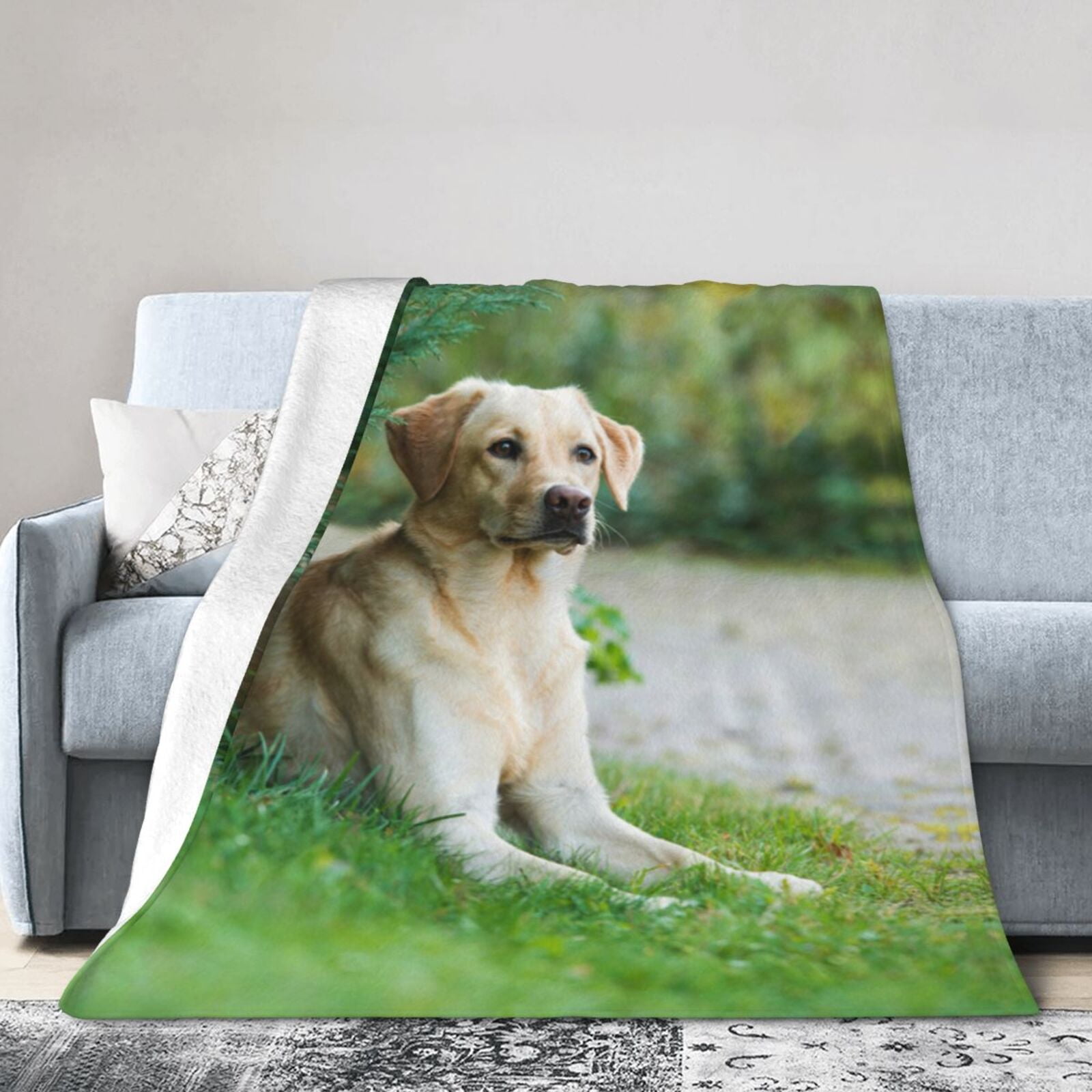 Wijzvio Labrador Retriever Dog Throw Blanket Soft Fuzzy Fleece Blanket For Couch Bed Living Room Decoration 60"X50"