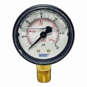 Wika Pressure Gauge ,2" Dial Size,Bottom 113.13.20.60.L