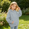 thumbnail image 1 of Wilark Girls Oversized Hoodies Sweatshirts with Pockets Long Sleeve Pullover Fleece Warm Casual Kids Fall Winter Tops Gray 12, 1 of 6