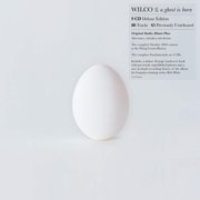 Wilco - A Ghost Is Born Deluxe Edition - Music & Performance - CD