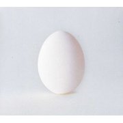 Wilco - A Ghost Is Born - Music & Performance - CD