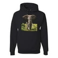 thumbnail image 1 of Wild African Forest Elephant Nature Fashion Graphic Hoodie Sweatshirt, Black, Small, 1 of 1