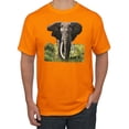thumbnail image 1 of Wild African Forest Elephant Nature Fashion Graphic T-Shirt, Orange, Medium, 1 of 1