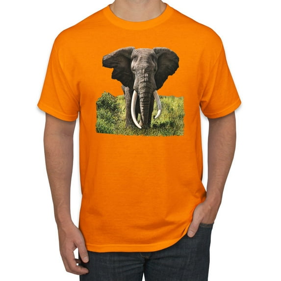 Wild African Forest Elephant Nature Fashion Graphic T-Shirt, Orange, Medium