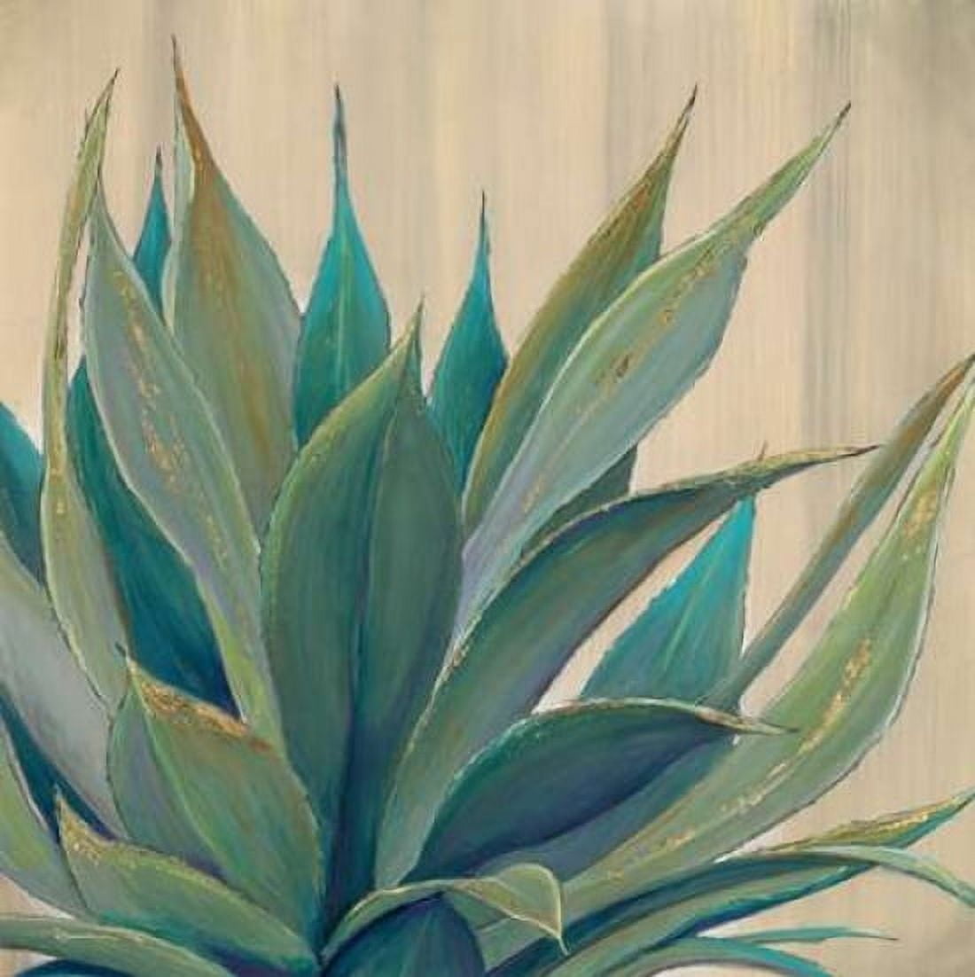 Wild Agave 1 Canvas Art - Dennis Dascher (24 x 24)