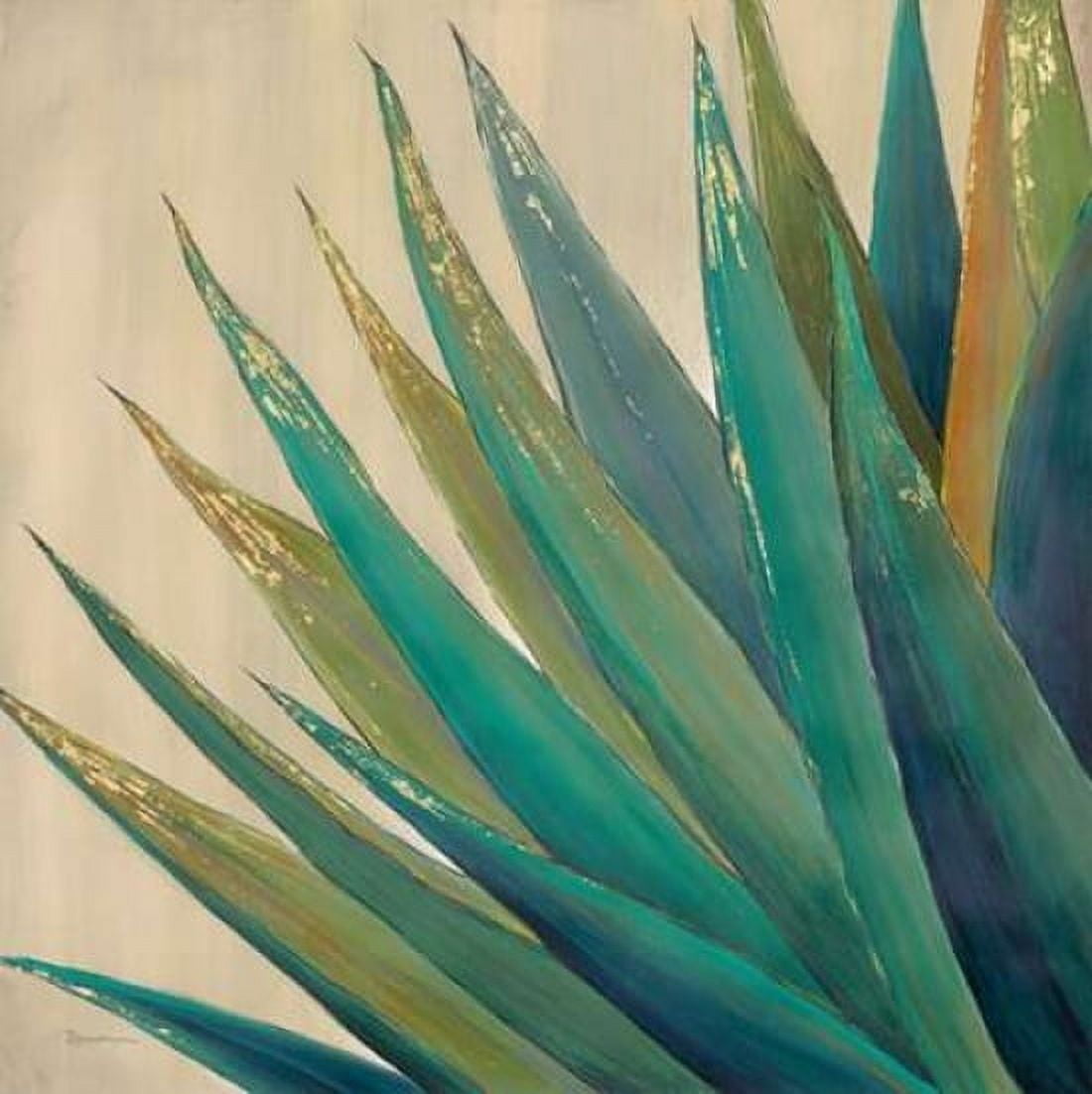 Wild Agave 2 Canvas Art - Dennis Dascher (24 x 24)