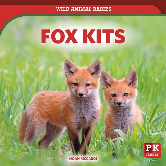 Wild Animal Babies Fox Kits, (Hardcover)