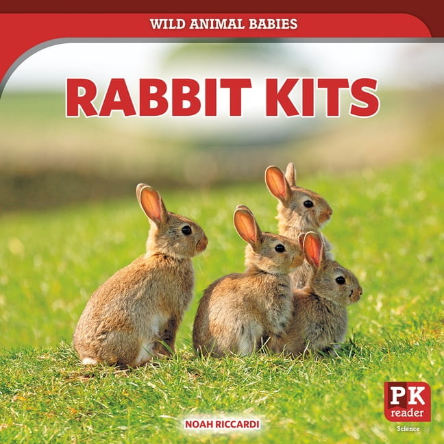 Wild Animal Babies Rabbit Kits, (Paperback)