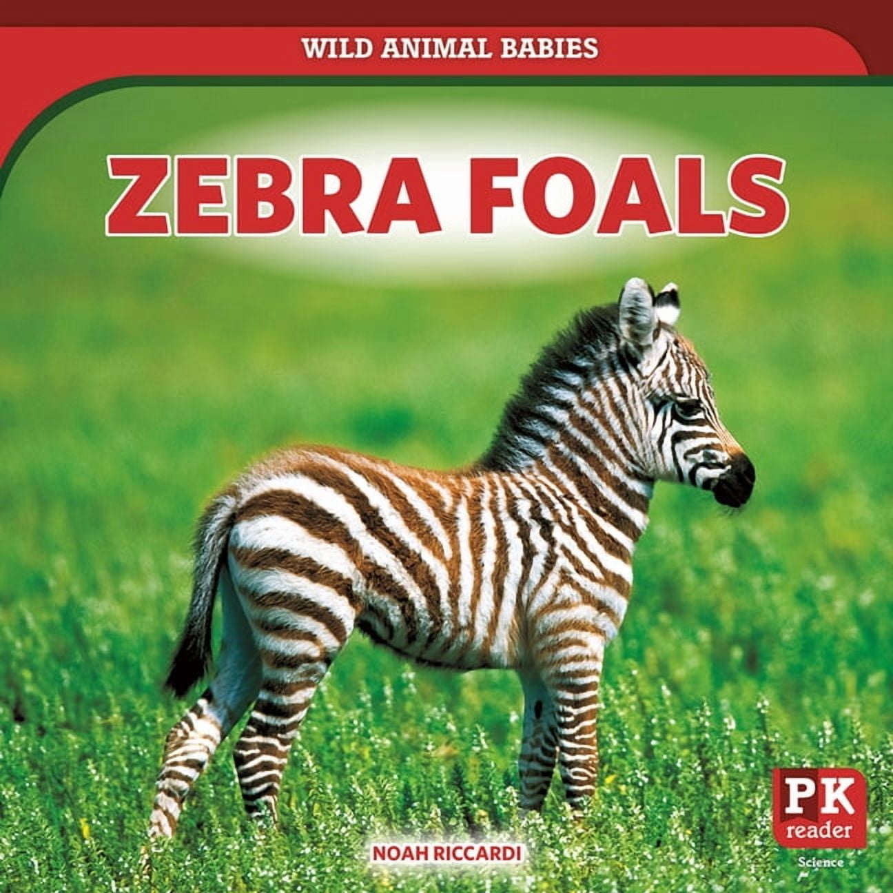 Wild Animal Babies Zebra Foals, (Paperback)