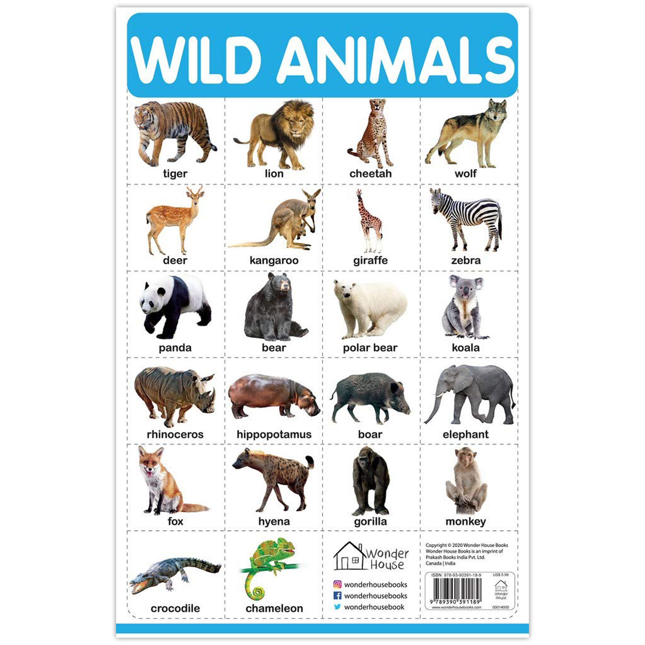 Wild Animals: My First Early Learning Wall Chart by Wonder House Books ...