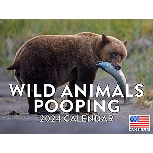 Wild Animals Pooping Calendar 2024 Wall Poop Calander Gag Gift