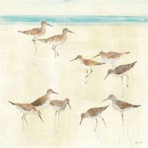 Wild Apple Graphics PDX11219LARGE Sandpipers Poster Print by Avery Tillmon, 24 x 24 - Large