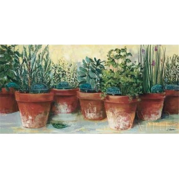 Wild Apple Graphics PDX9000SMALL Potted Herbs II Poster Print by Carol Rowan, 10 x 20 - Small