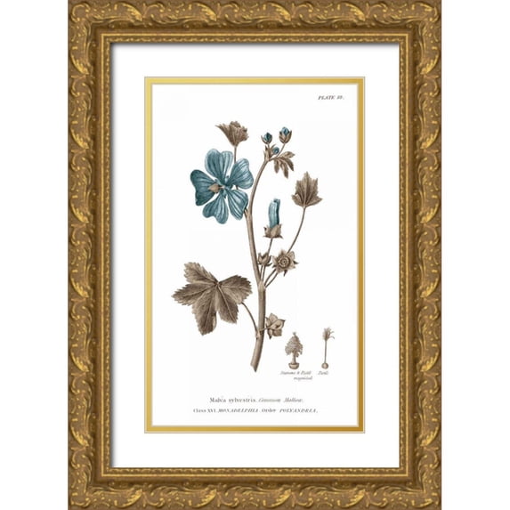 Wild Apple Portfolio 10x14 Gold Ornate Wood Framed with Double Matting Museum Art Print Titled - Conversations on Botany VII on White with Blue