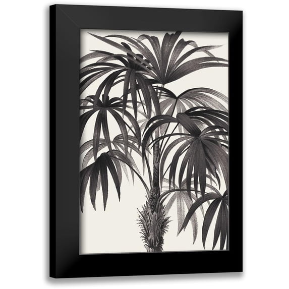 Wild Apple Portfolio 11x14 Black Modern Framed Museum Art Print Titled - Riviera Palms II BW