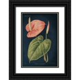 thumbnail image 1 of Wild Apple Portfolio 11x14 Black Ornate Wood Framed with Double Matting Museum Art Print Titled - Anthurium Ferrierense Dark Blue, 1 of 4