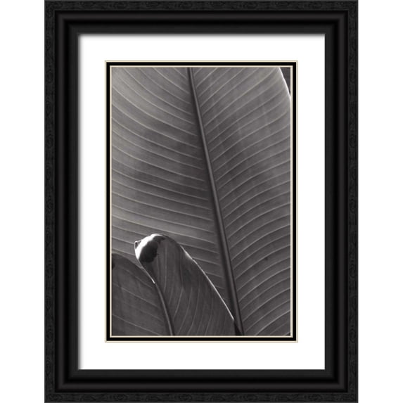 Wild Apple Portfolio 11x14 Black Ornate Wood Framed with Double Matting Museum Art Print Titled - Palm Detail III BW