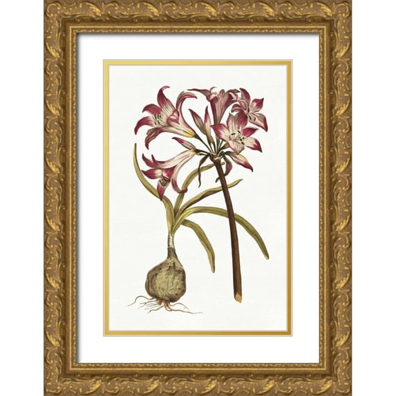 Wild Apple Portfolio 11x14 Gold Ornate Wood Framed with Double Matting Museum Art Print Titled - Vintage Floral I on White