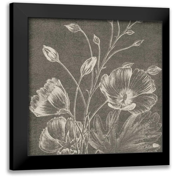 Wild Apple Portfolio 12x12 Black Modern Framed Museum Art Print Titled - Botanical Beauty Chalk Square IX
