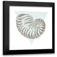 thumbnail image 1 of Wild Apple Portfolio 12x12 Black Modern Framed Museum Art Print Titled - Conchology Sketches II, 1 of 5