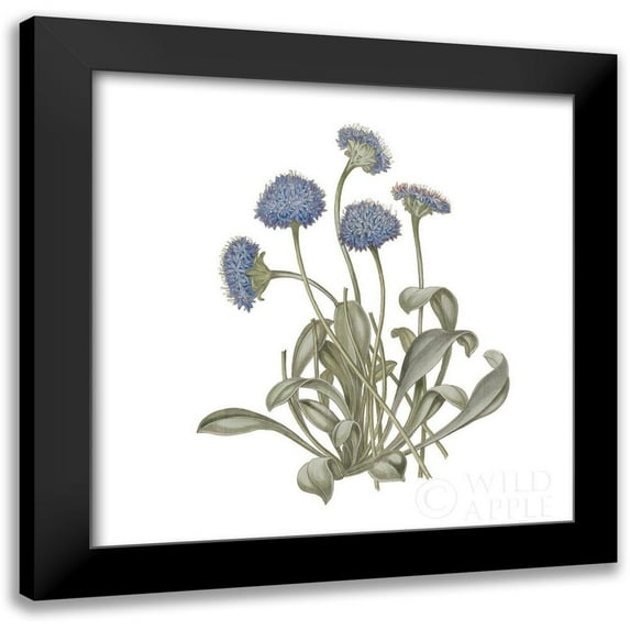 Wild Apple Portfolio 12x12 Black Modern Framed Museum Art Print Titled - Monument Etching Tile Flowers IX