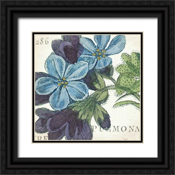Wild Apple Portfolio 12x12 Black Ornate Wood Framed with Double Matting Museum Art Print Titled - Blue Floral