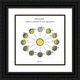 thumbnail image 1 of Wild Apple Portfolio 12x12 Black Ornate Wood Framed with Double Matting Museum Art Print Titled - Solar Seasons, 1 of 4