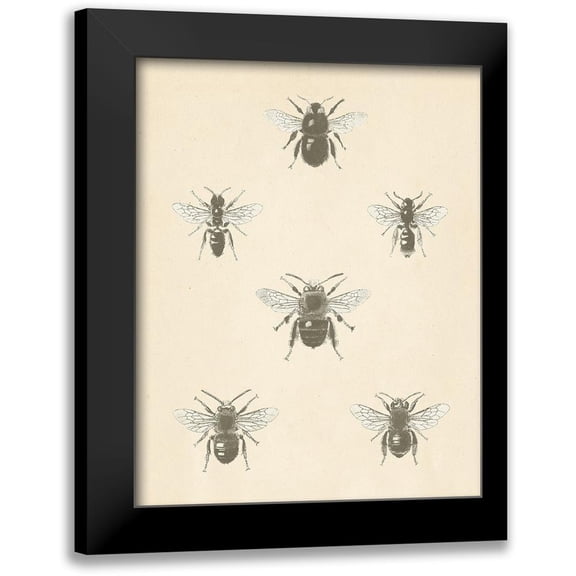 Wild Apple Portfolio 12x14 Black Modern Framed Museum Art Print Titled - Bee Chart I