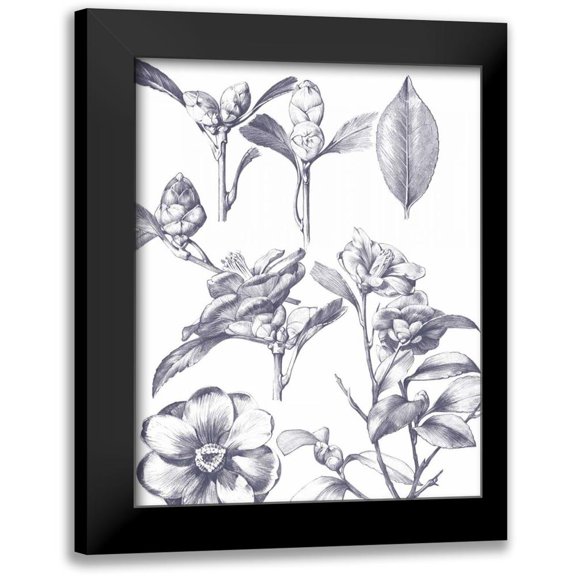 Wild Apple Portfolio 12x14 Black Modern Framed Museum Art Print Titled - Lithograph Florals II Blue