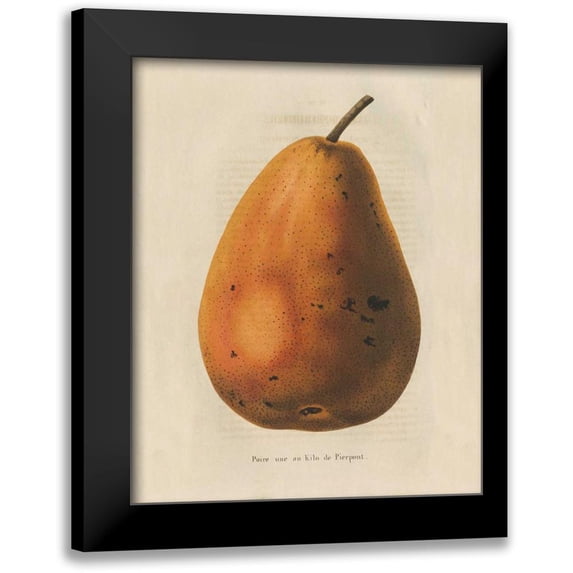 Wild Apple Portfolio 12x14 Black Modern Framed Museum Art Print Titled - Pierpont v2