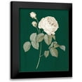 thumbnail image 1 of Wild Apple Portfolio 12x14 Black Modern Framed Museum Art Print Titled - White Roses on Green II, 1 of 5