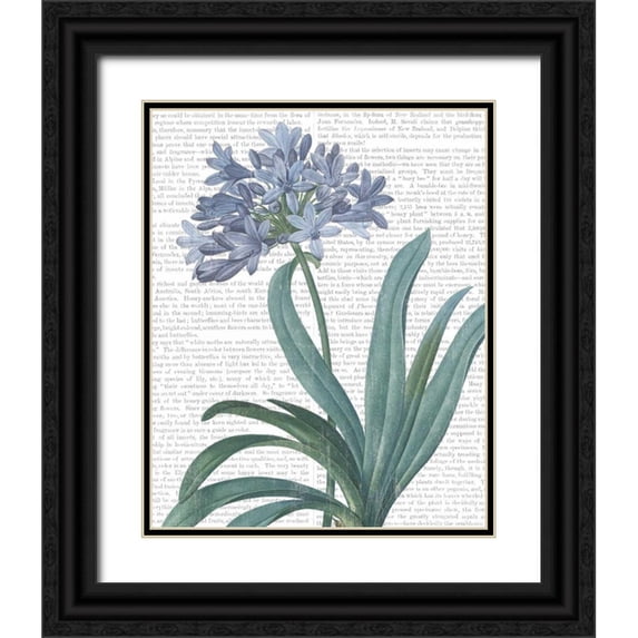 Wild Apple Portfolio 12x14 Black Ornate Wood Framed with Double Matting Museum Art Print Titled - Summer Botanicals I