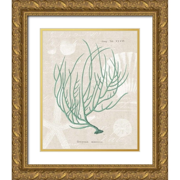 Wild Apple Portfolio 12x14 Gold Ornate Wood Framed with Double Matting Museum Art Print Titled - Gorgonia Miniacea on Linen Sea Foam