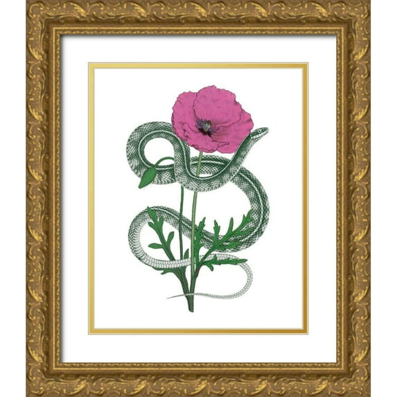 Wild Apple Portfolio 12x14 Gold Ornate Wood Framed with Double Matting Museum Art Print Titled - Natural Beauty I Pink Flower