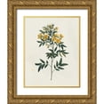 thumbnail image 1 of Wild Apple Portfolio 12x14 Gold Ornate Wood Framed with Double Matting Museum Art Print Titled - Victorian Garden Flowers I, 1 of 4