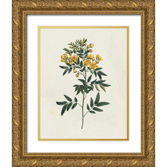 Wild Apple Portfolio 12x14 Gold Ornate Wood Framed with Double Matting Museum Art Print Titled - Victorian Garden Flowers I
