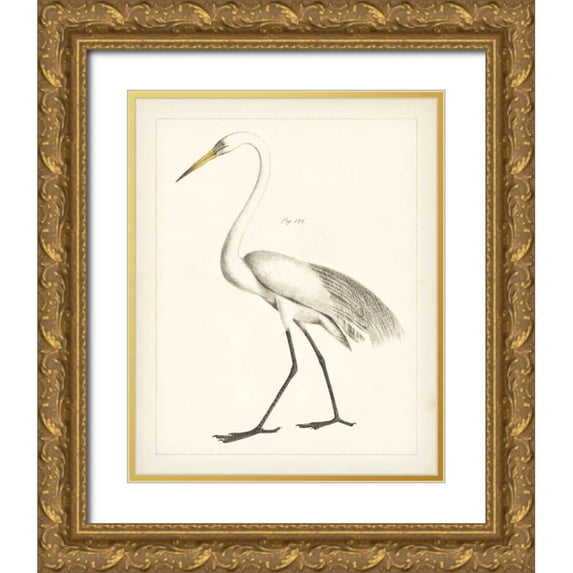 Wild Apple Portfolio 12x14 Gold Ornate Wood Framed with Double Matting Museum Art Print Titled - Vintage Heron II
