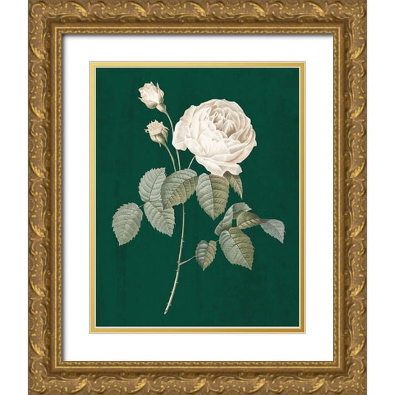 Wild Apple Portfolio 12x14 Gold Ornate Wood Framed with Double Matting Museum Art Print Titled - White Roses on Green II