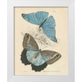 thumbnail image 1 of Wild Apple Portfolio 12x14 White Modern Wood Framed Museum Art Print Titled - Assortment Butterflies I, 1 of 4