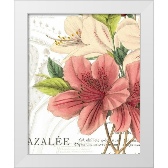 Wild Apple Portfolio 12x14 White Modern Wood Framed Museum Art Print Titled - Azalee Jardin I