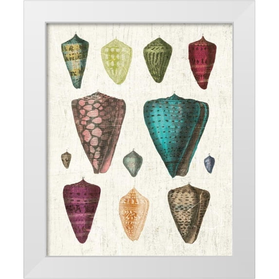 Wild Apple Portfolio 12x14 White Modern Wood Framed Museum Art Print Titled - Colorful Shell Assortment II