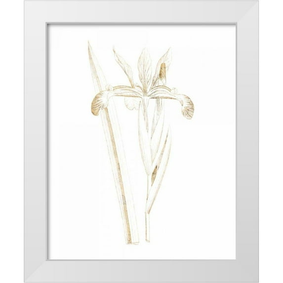 Wild Apple Portfolio 12x14 White Modern Wood Framed Museum Art Print Titled - Gilded Botanical III