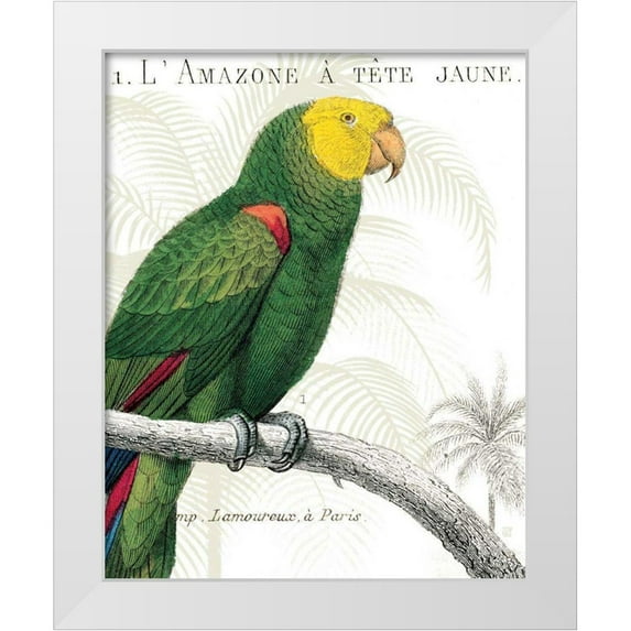 Wild Apple Portfolio 12x14 White Modern Wood Framed Museum Art Print Titled - Parrot Botanique I