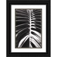 thumbnail image 1 of Wild Apple Portfolio 13x18 Black Ornate Wood Framed with Double Matting Museum Art Print Titled - Palm Detail II BW, 1 of 4
