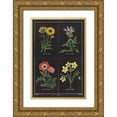 thumbnail image 1 of Wild Apple Portfolio 13x18 Gold Ornate Wood Framed with Double Matting Museum Art Print Titled - Botanical on Black Chart II, 1 of 4