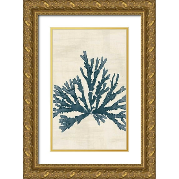 Wild Apple Portfolio 13x18 Gold Ornate Wood Framed with Double Matting Museum Art Print Titled - Pacific Sea Mosses IV No Map Crop