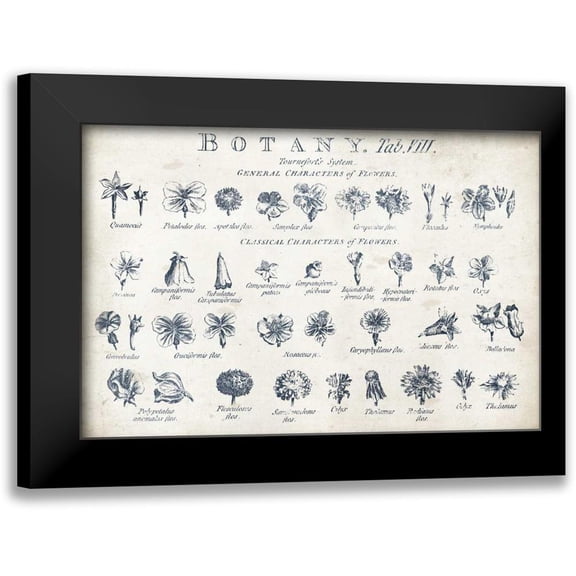 Wild Apple Portfolio 14x11 Black Modern Framed Museum Art Print Titled - Botany Tab VIII Indigo and White