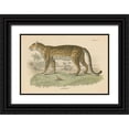 thumbnail image 1 of Wild Apple Portfolio 14x11 Black Ornate Wood Framed with Double Matting Museum Art Print Titled - Vintage Leopard, 1 of 4