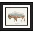 thumbnail image 1 of Wild Apple Portfolio 14x12 Black Ornate Wood Framed with Double Matting Museum Art Print Titled - American Southwest Buffalo, 1 of 4